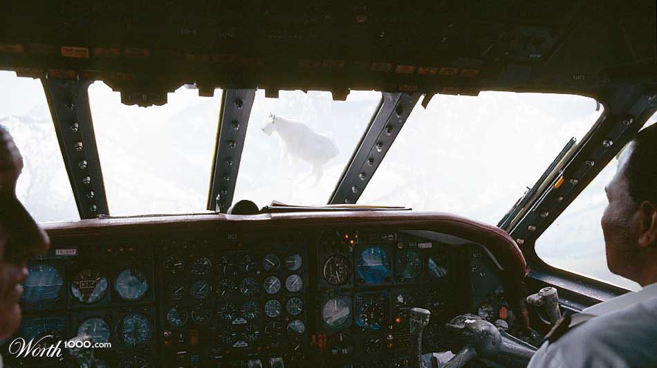 farside