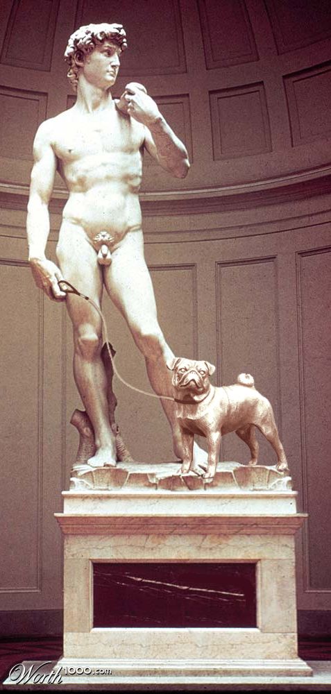 David and his dog