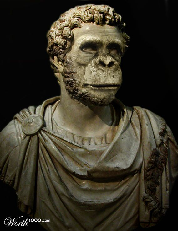 Maximinus Cornelius