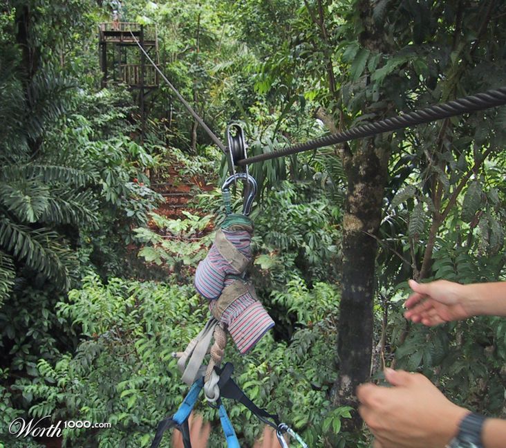 Zipline