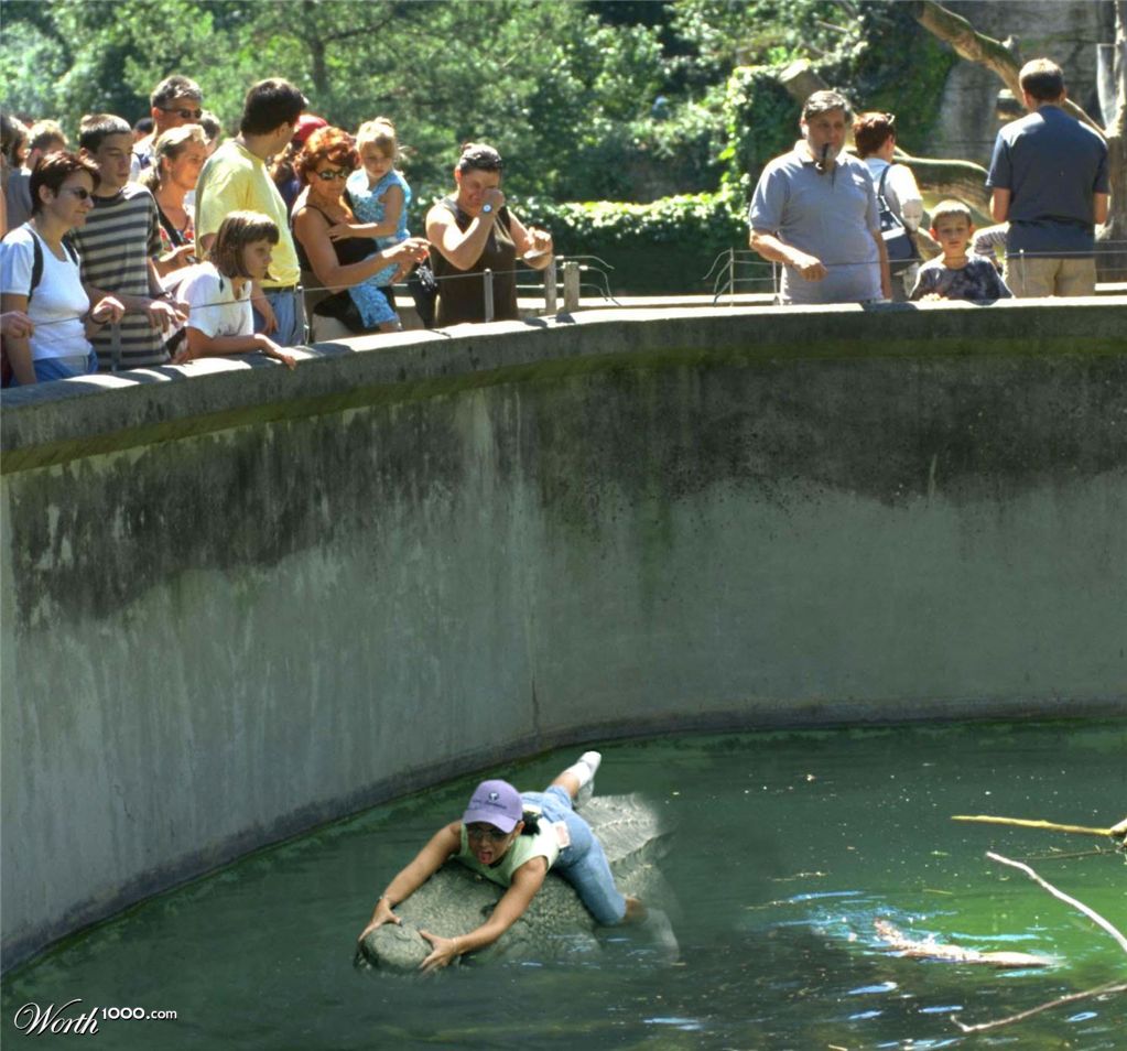 croc attack!