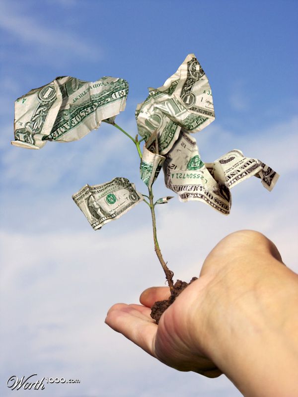 Money Tree