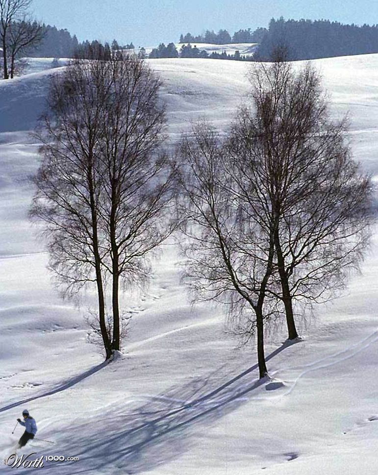 Ski Free