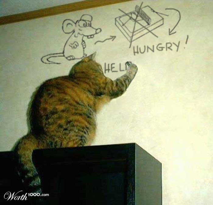 Help me!!