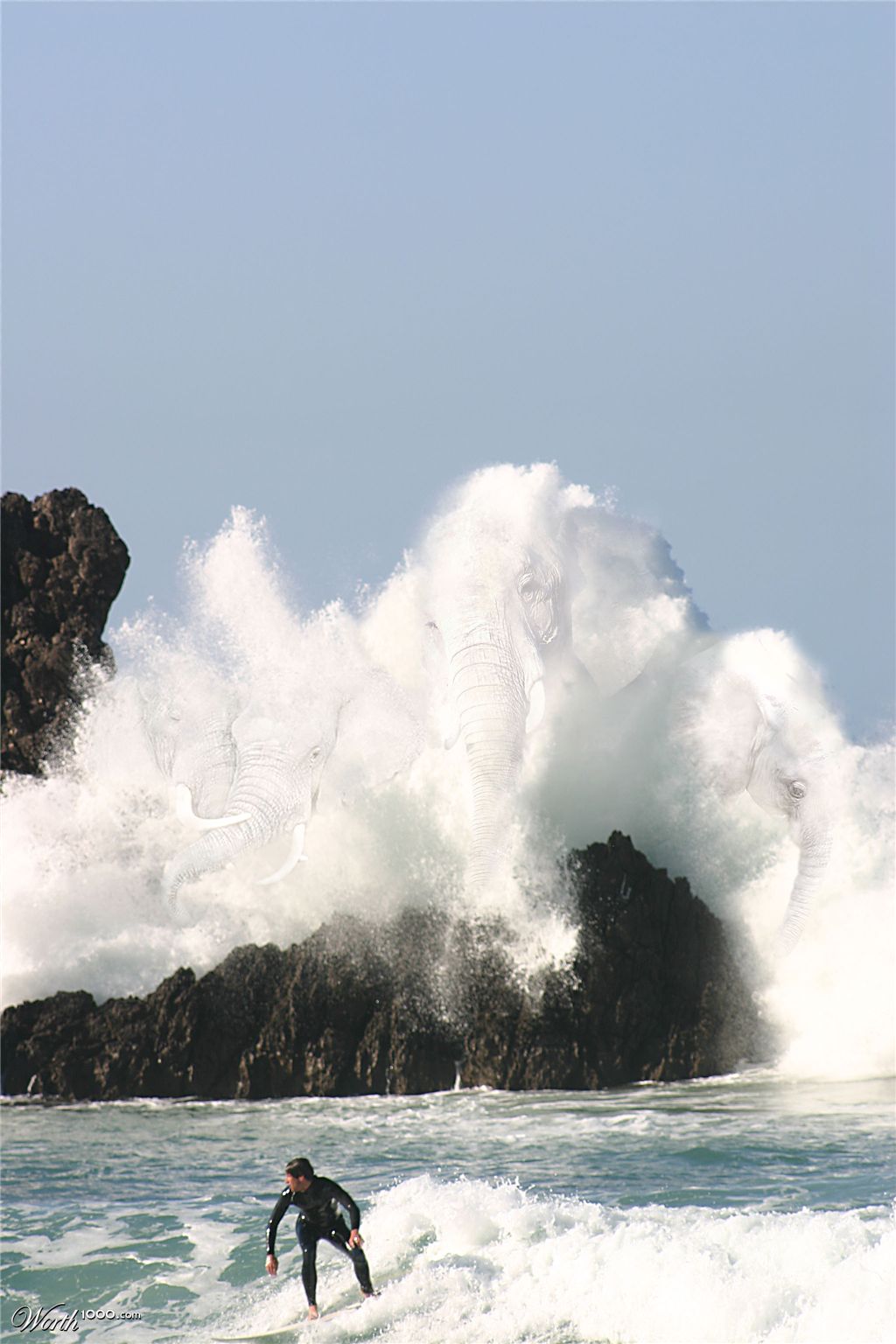 elephantwave
