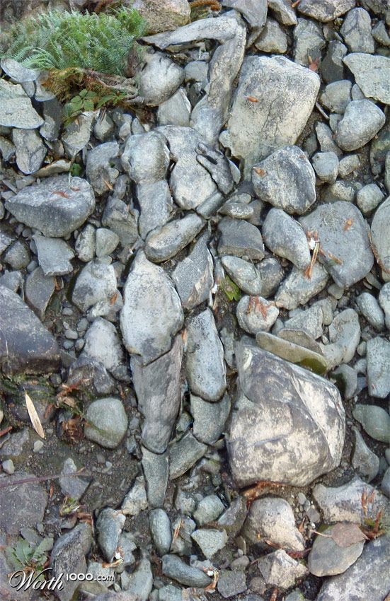 Siren Of The Stones