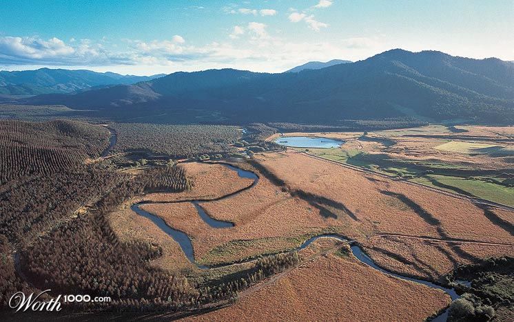 Oxbow Lake