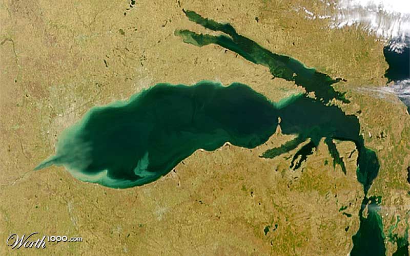 Wasp Lake