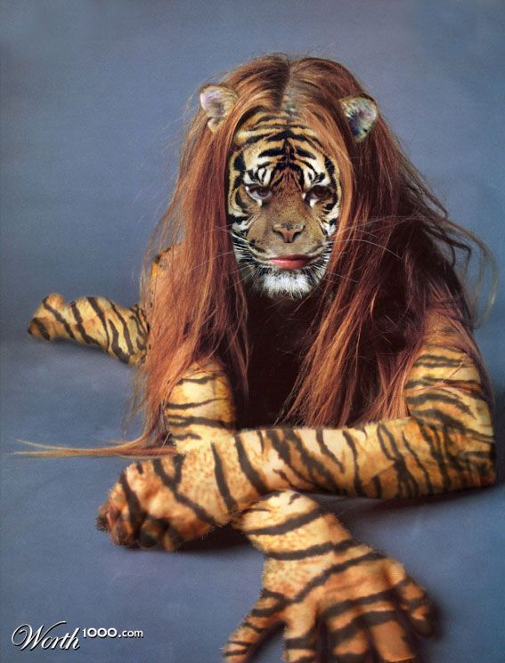 Tigress