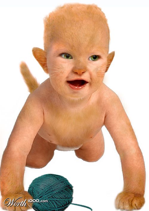 Fluffy Jr.