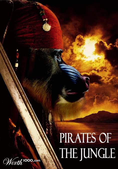 pirate of the jungle