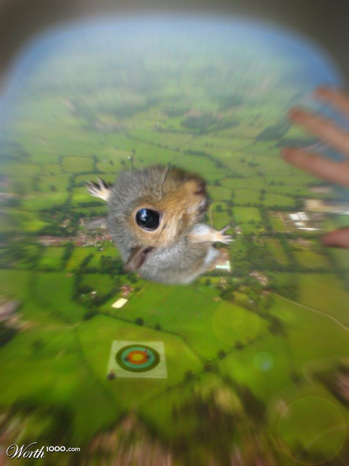 Hamster Toss