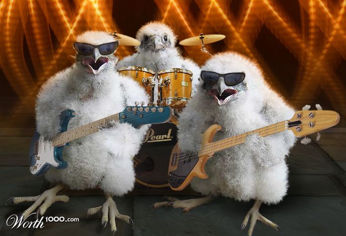 Chick Rock