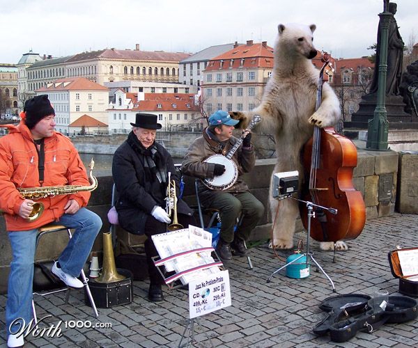 Bear Bass