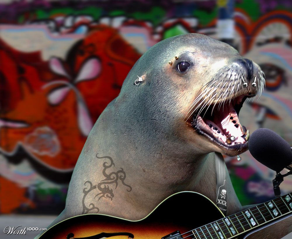 Rockin Seal