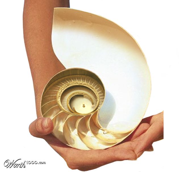 Nautilis