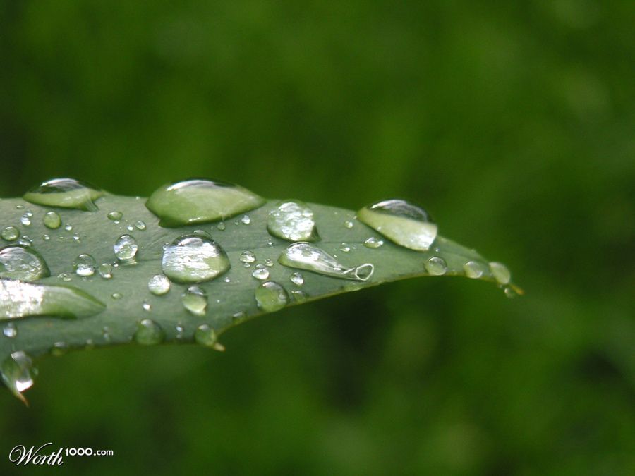 Empty drop