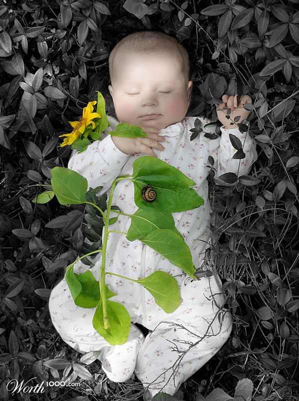 Sleeping Beauty