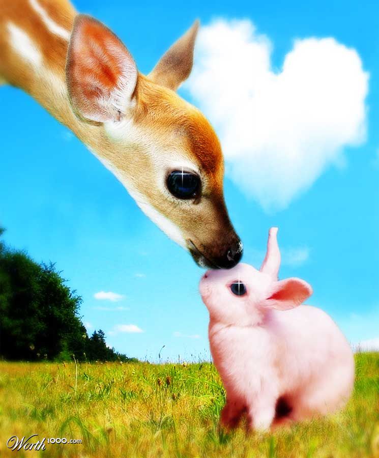 Kiss