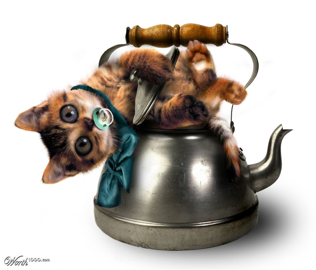 Wittle Teapot