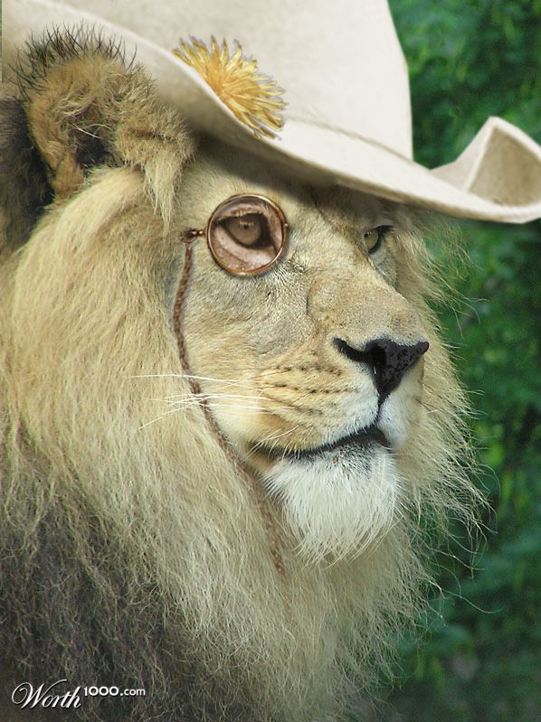 Dandy Lion