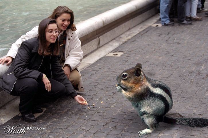 Please Don't Feed the Animals