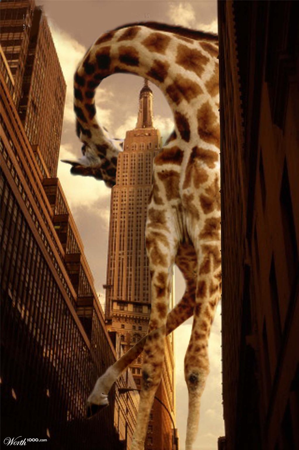Concrete Jungle