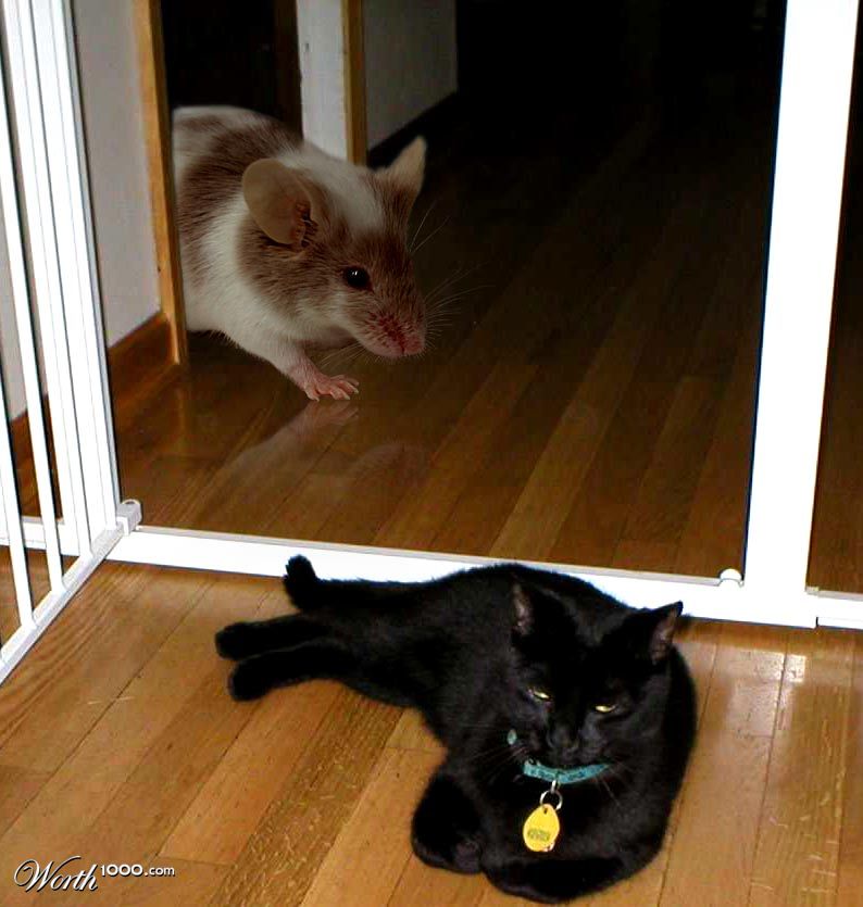 Moment of indecision