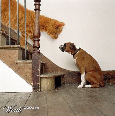 Eye to eye