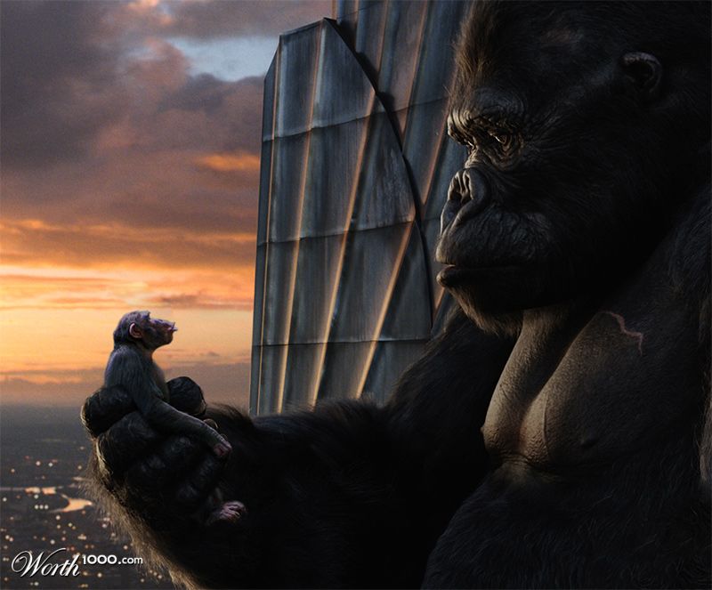 Kong loves Cheeta