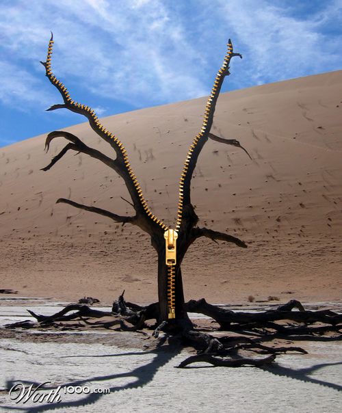 Zipped Tree