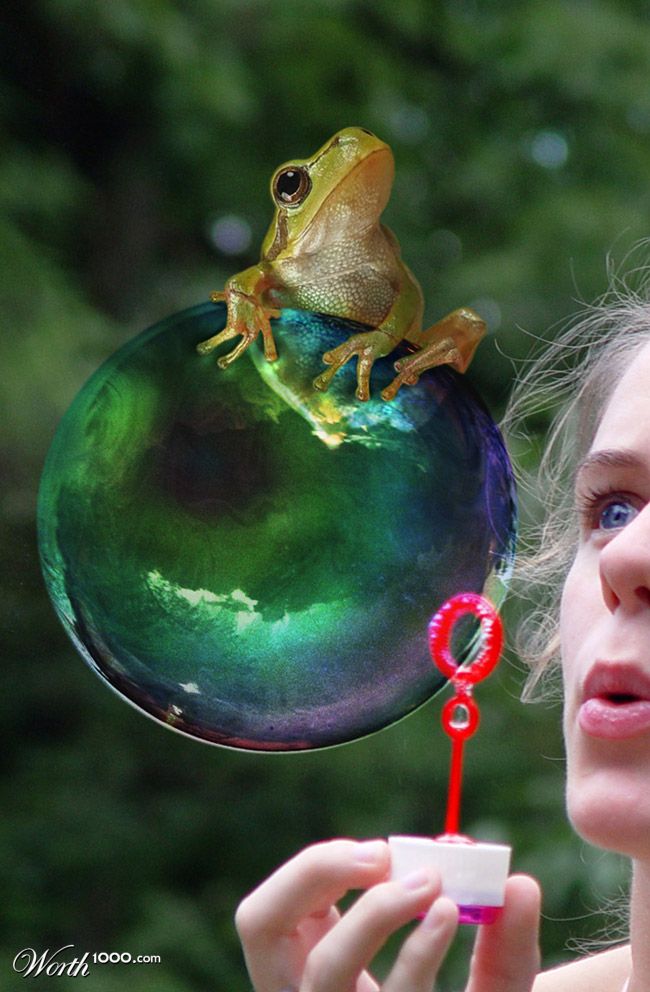Frog in a bubble