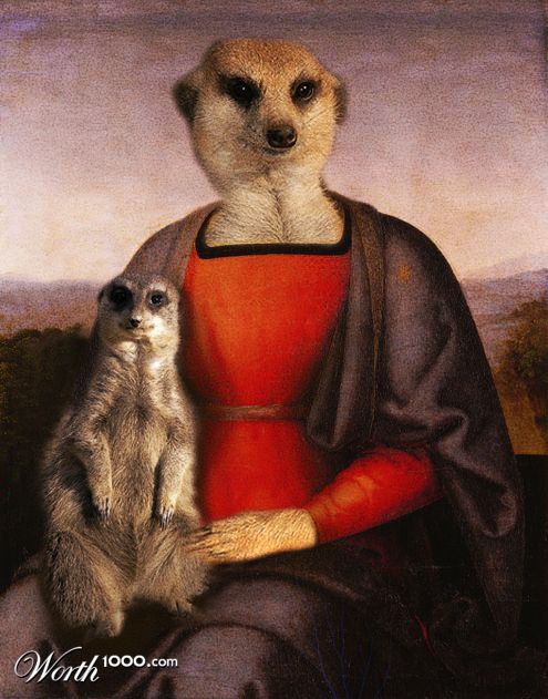 suricata