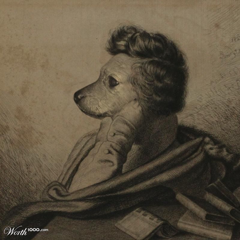 Mr. Chihuahua Grimm