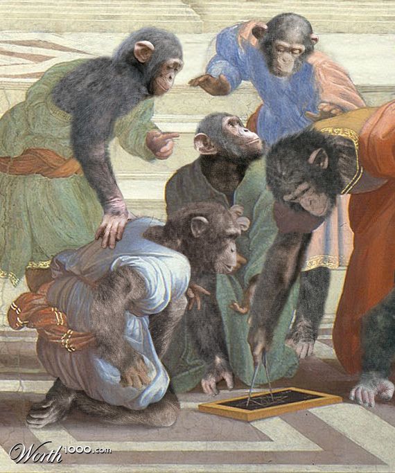 Chimp Students