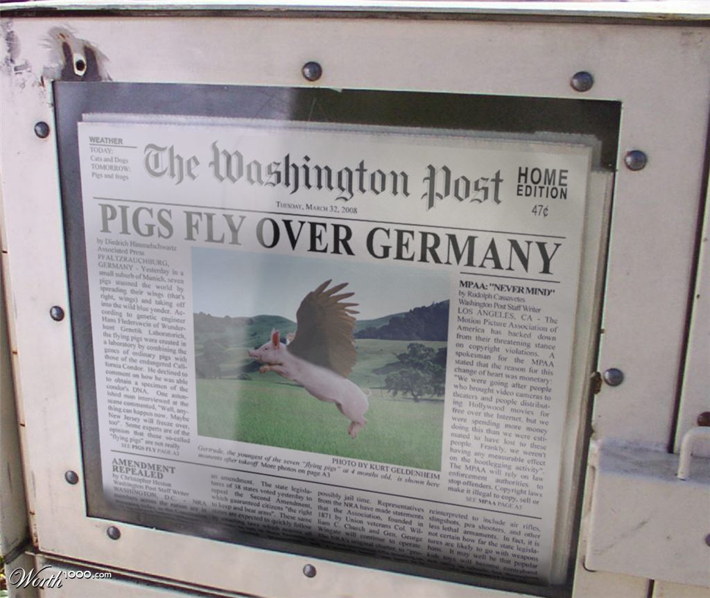 PigsFlyGermany