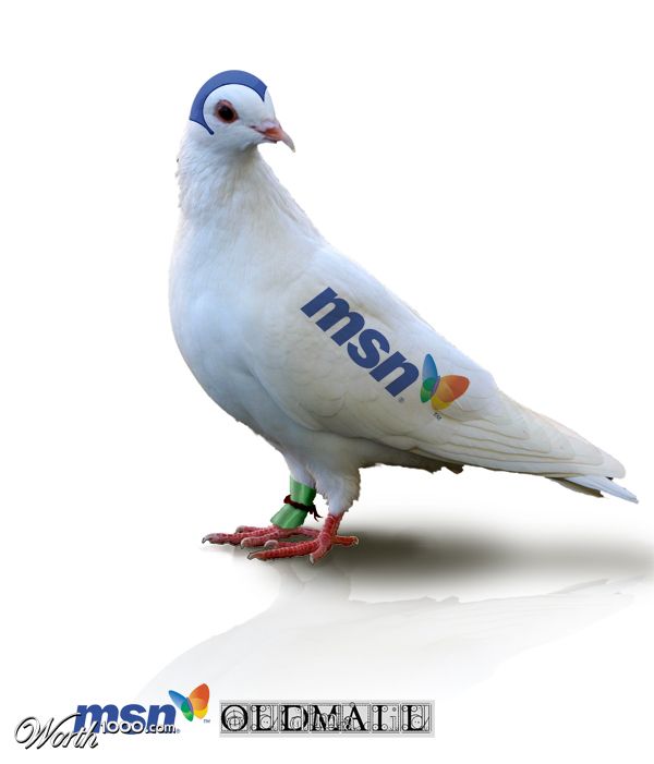 msn oldmail