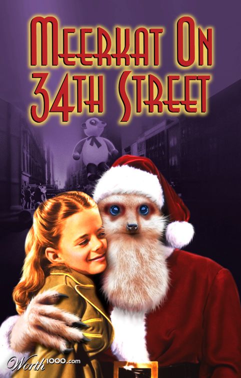 Meerkat On34thStreet