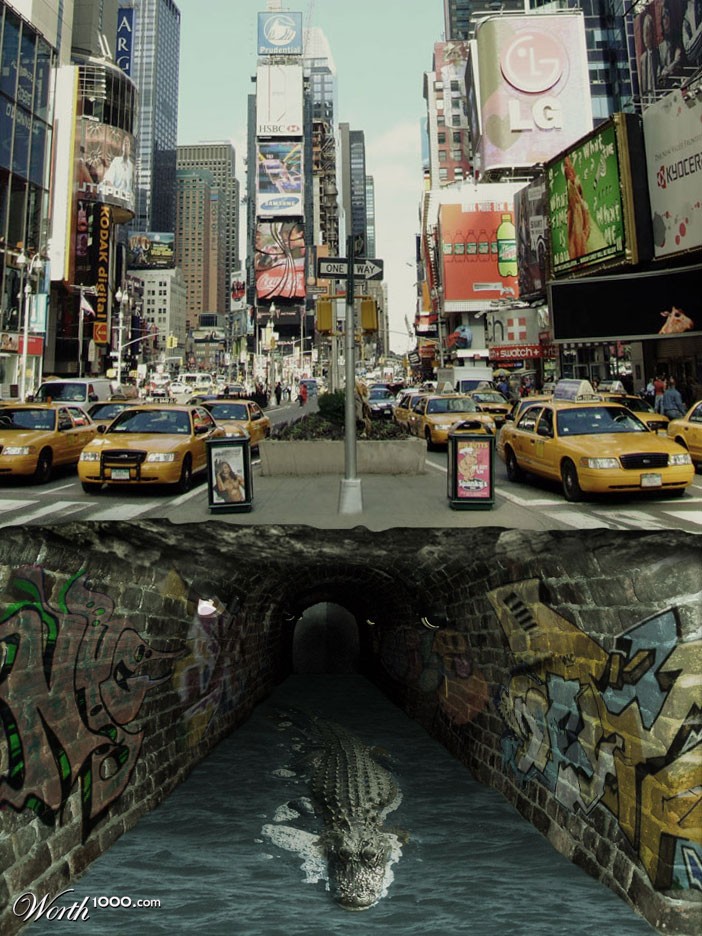 NYC Alligator