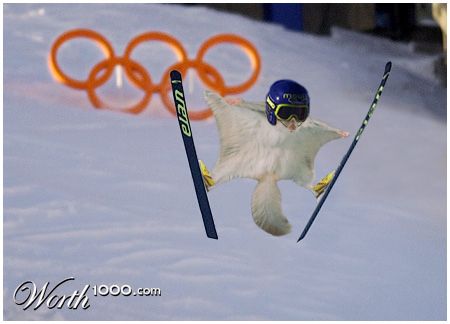 Silver Medal Winner