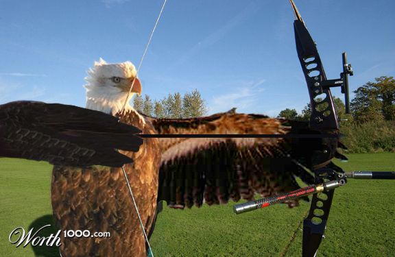 eagle-eyed archer