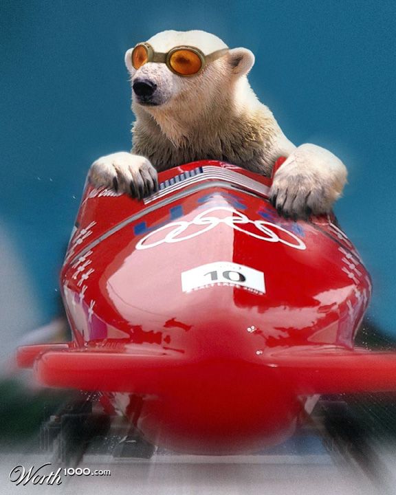 Polar Bobsled