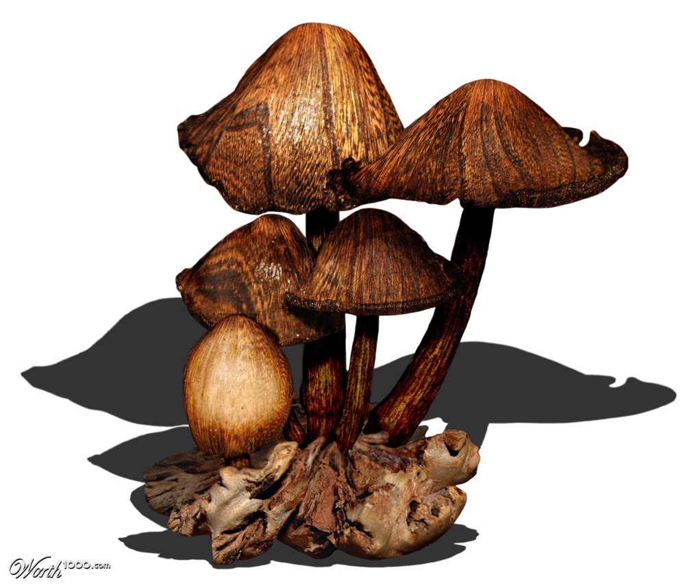 Wooden Mushrooms