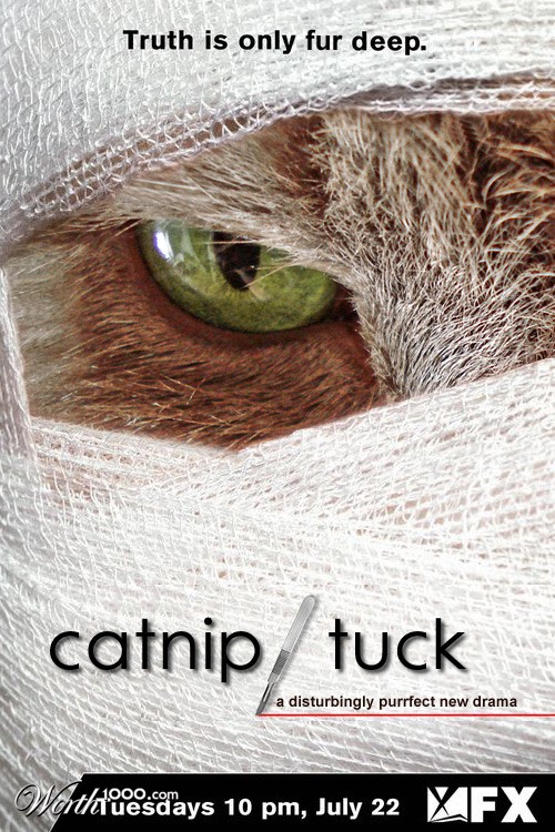 Catnip/Tuck