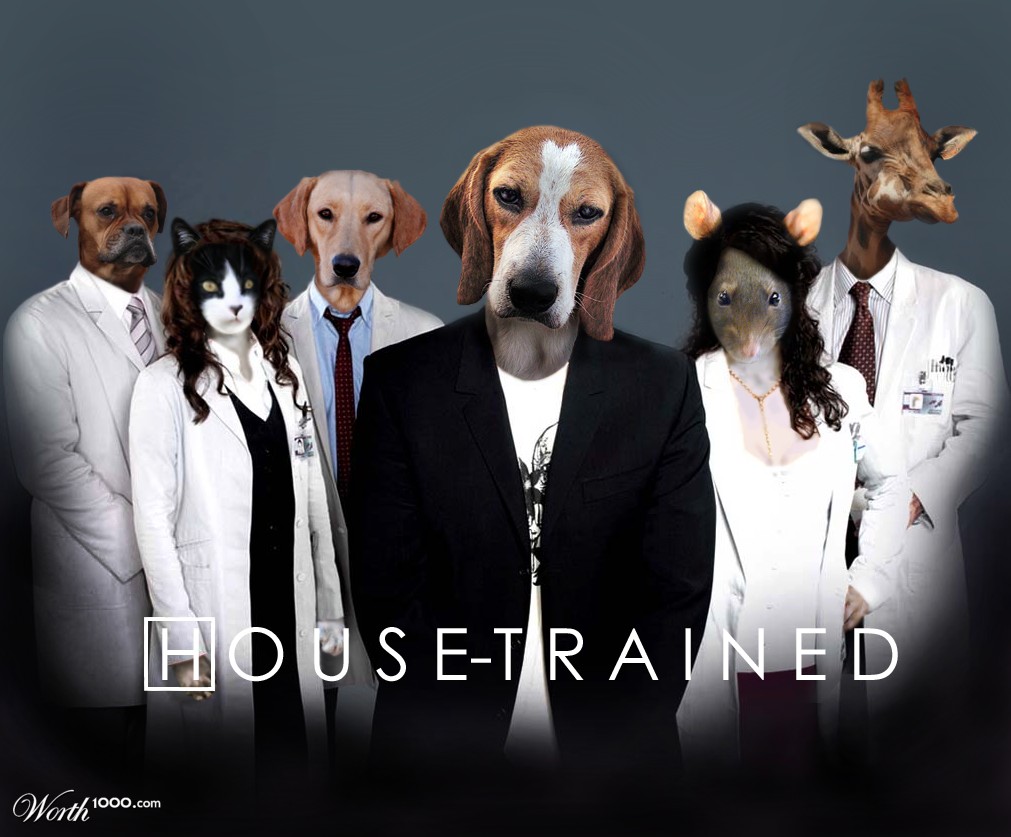 House-Trained
