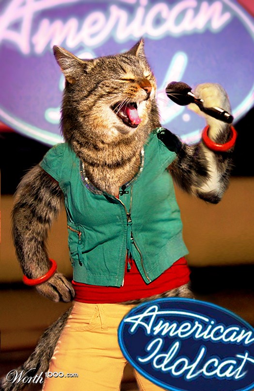 Idol Cat