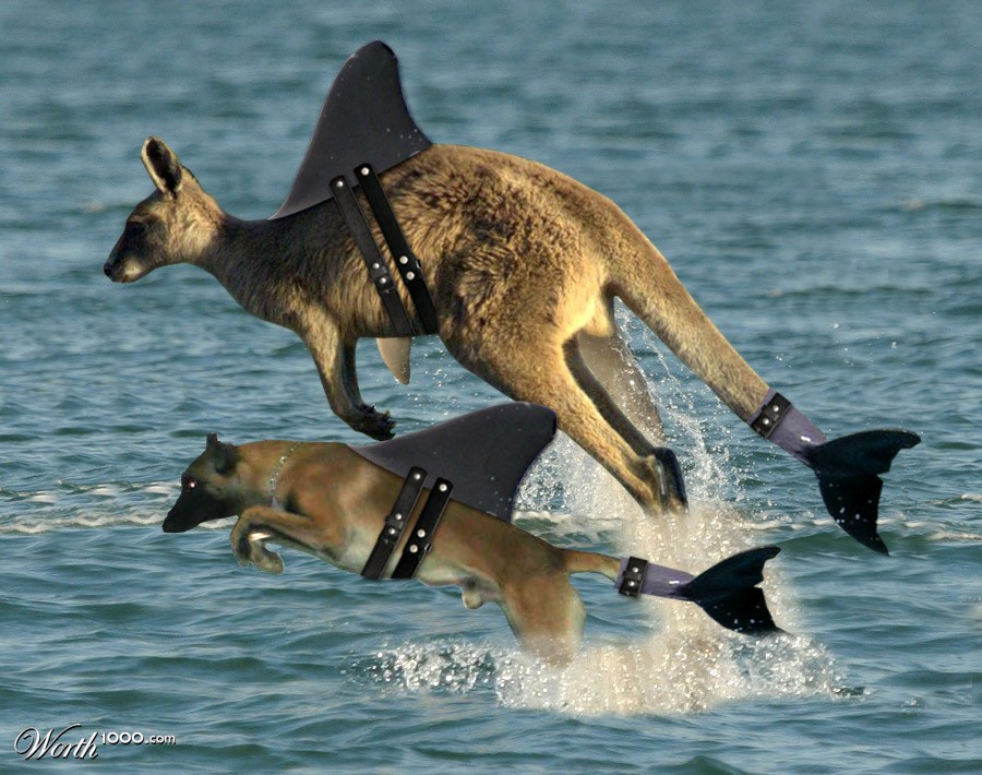 Wannabe Dolphins