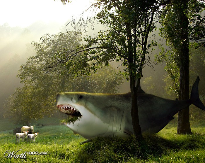 Grass Shark
