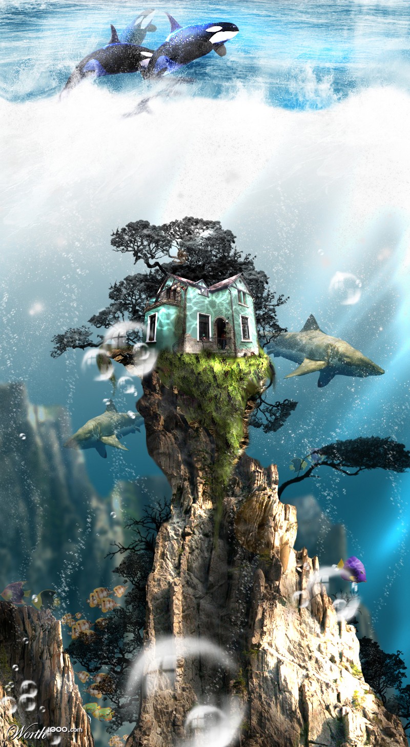 A Sea Worthy House