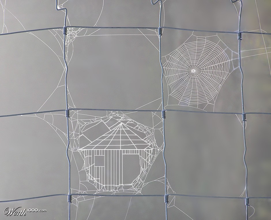 Arachnitecture